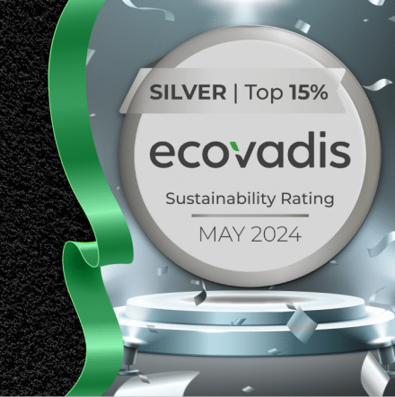 EcoVadis 2024